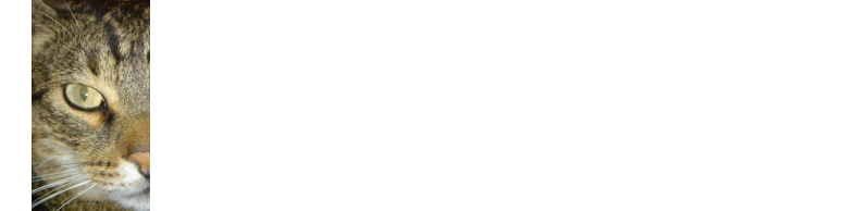 Connys-Catsitting
